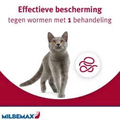 Outlet Ontworming Tabletten Kat/Kitten 0,5 - 2 kg 2 tabletten Vlo, Teek & Worm