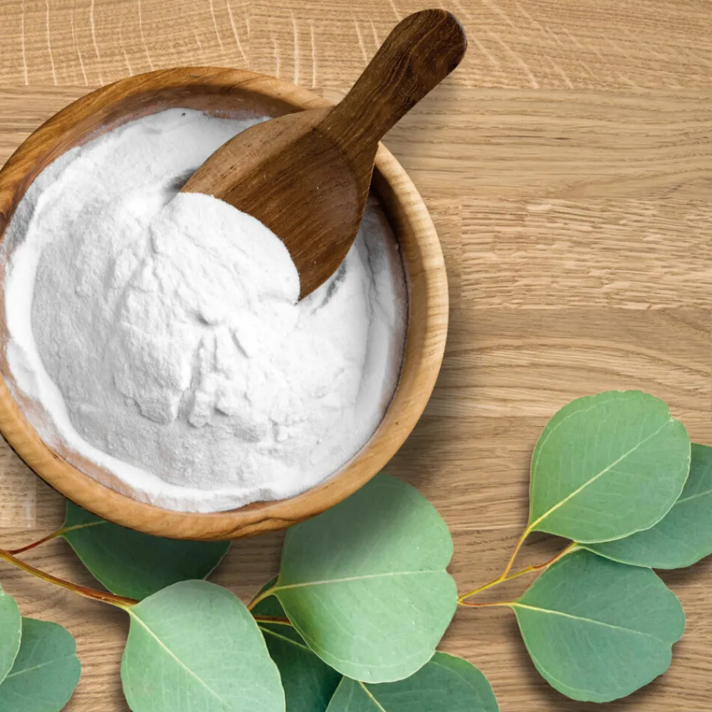 Allesreiniger Bicarbonaat en Eucalyptus 1 liter^Mr. Propre Outlet