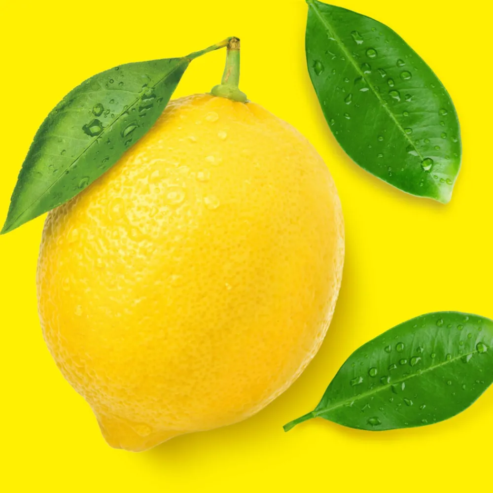 Allesreiniger Spray Citroen 800 ml^Mr. Propre Outlet