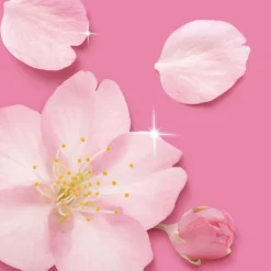 Allesreiniger<Mr. Propre Allesreiniger Spray Kersenbloesem 800 ml