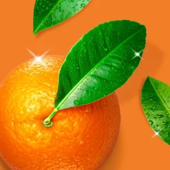 Keukenontvetter Spray Mandarijn Boost 800 ml^Mr. Propre Online