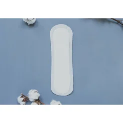 Maandverband Maxi Pads Nacht 10 stuks^Natracare Hot