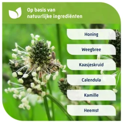 Nacht Voor Alle Hoest 150 ml^Natterman Sale