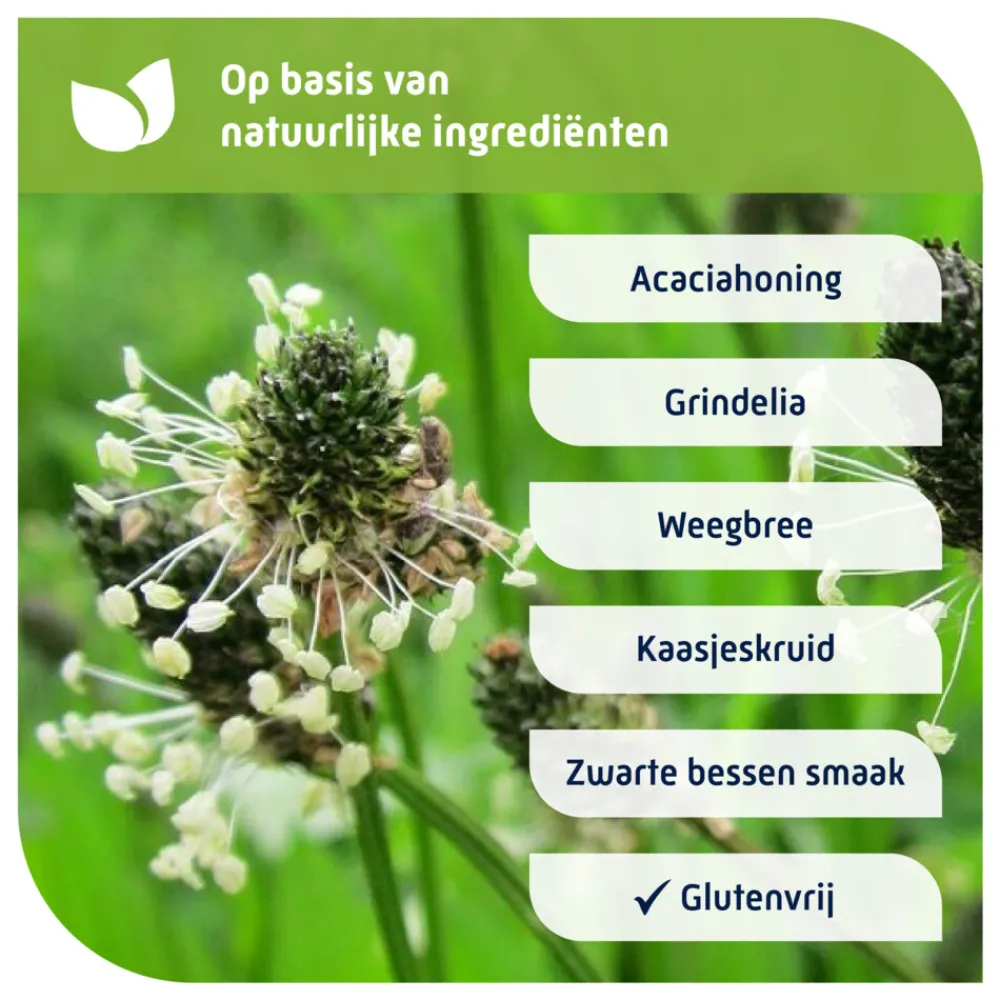 Voor Alle Hoest Kindersiroop 180 ml^Natterman Outlet