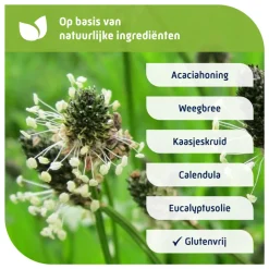 Luchtwegen & Keel<Natterman Voor alle Hoest Hoestdrank 180 ml