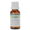 Tea Tree Kalknagel Olie 20 ml^Naturapharma Online