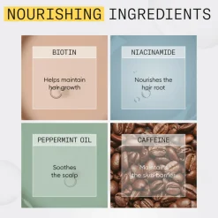 New System 1 Loyalty Kit 3 stuks Haarverzorging