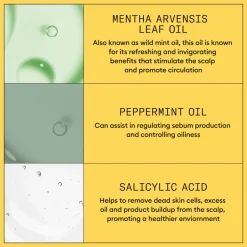 Online System 1 Shampoo 300 ml Haarverzorging