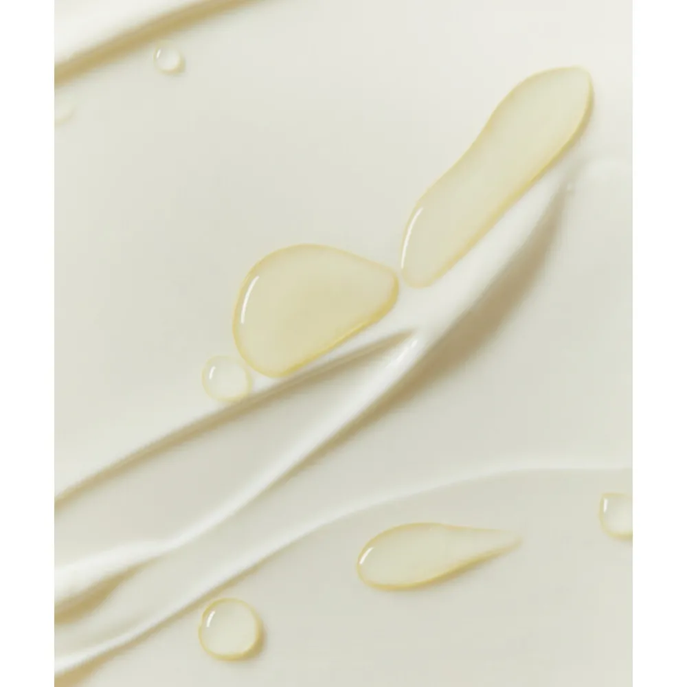 Q10 Dagcrème Extra Voedend SPF 15 50 ml Dag- & Nachtcrème