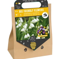 Online Nuttige Bloementas Bloembollen Bij-vriendelijke Bloemen 25 stuks Kweken En Zaden