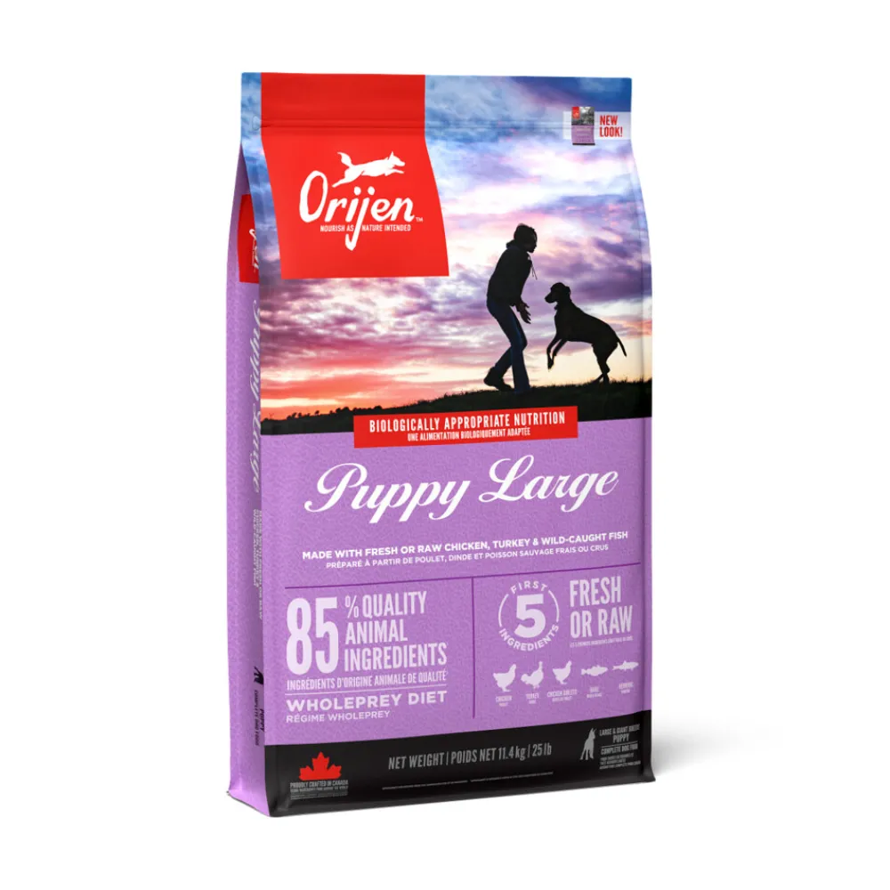 Hondenvoer Whole Prey Puppy Large Breed 6 kg^Orijen Hot