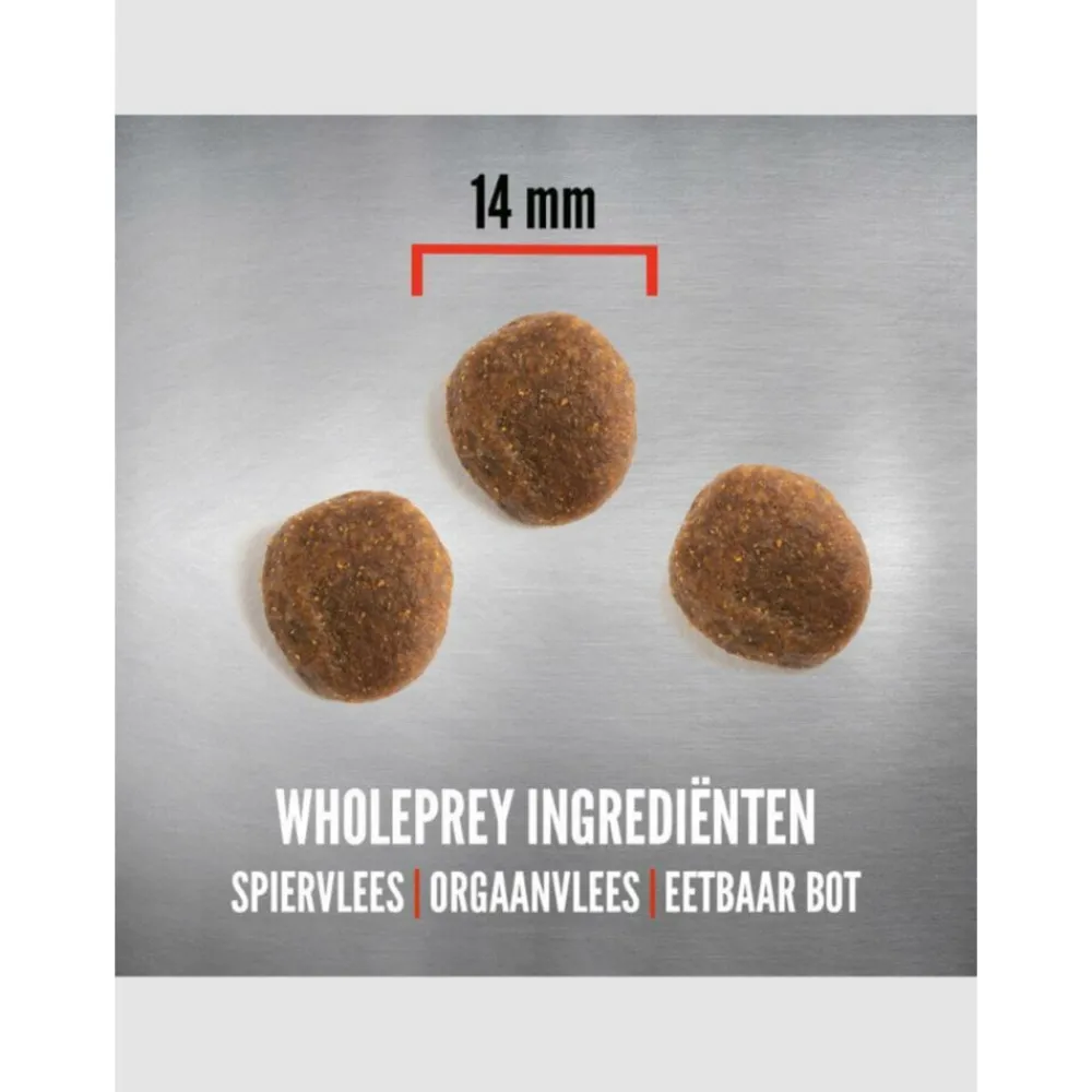 Best Hondenvoer Whole Prey Six Fish 6 kg Hondenvoer