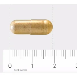 Orthiflor Saffraan 30 tabletten^Orthica New