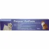 Vlo, Teek & Worm<Panacur PetPaste Ontworming Pasta 5 gr
