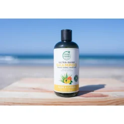 Aloe & Citrus Shampoo 475 ml^Petal Fresh Sale