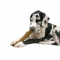 Speelgoed<Petstages Dogwood Stick Bruin 14,0x 26,7 x 3,8 cm