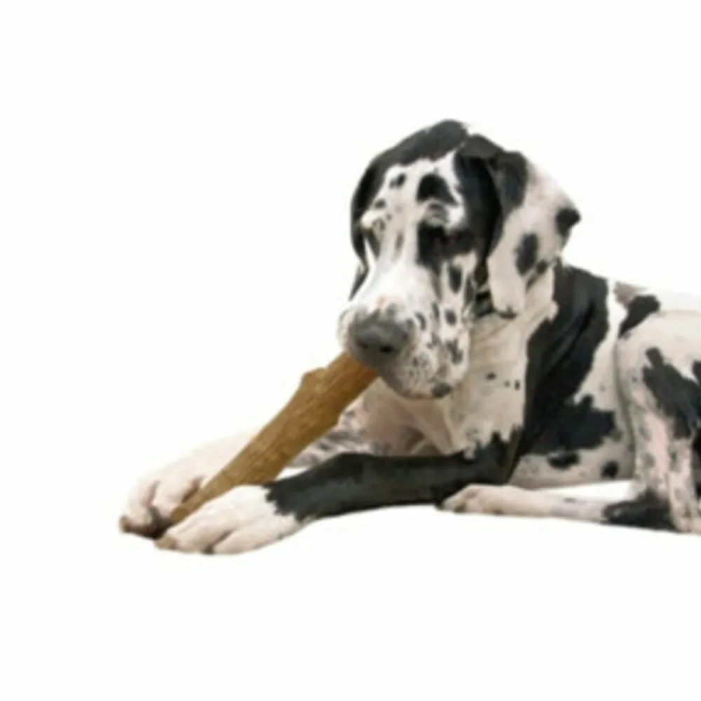 Speelgoed<Petstages Dogwood Stick Bruin 14,0x 26,7 x 3,8 cm