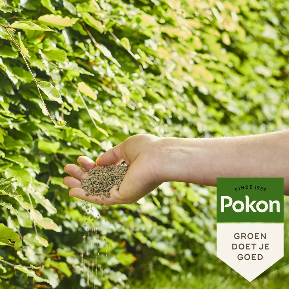 Online Beuken & Hagen Mest 10 kg Grond En Bemesting