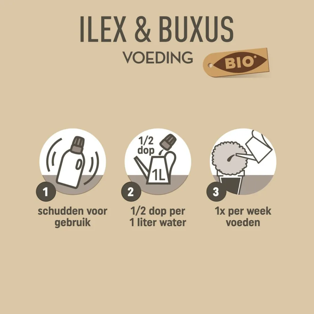 Grond En Bemesting<Pokon Bio Buxus & Ilex Voeding 500 ml