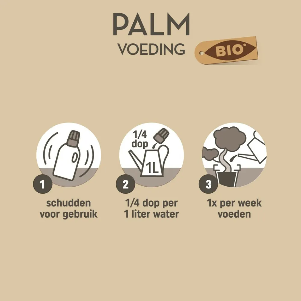 Grond En Bemesting<Pokon Bio Palm Voeding 250 ml