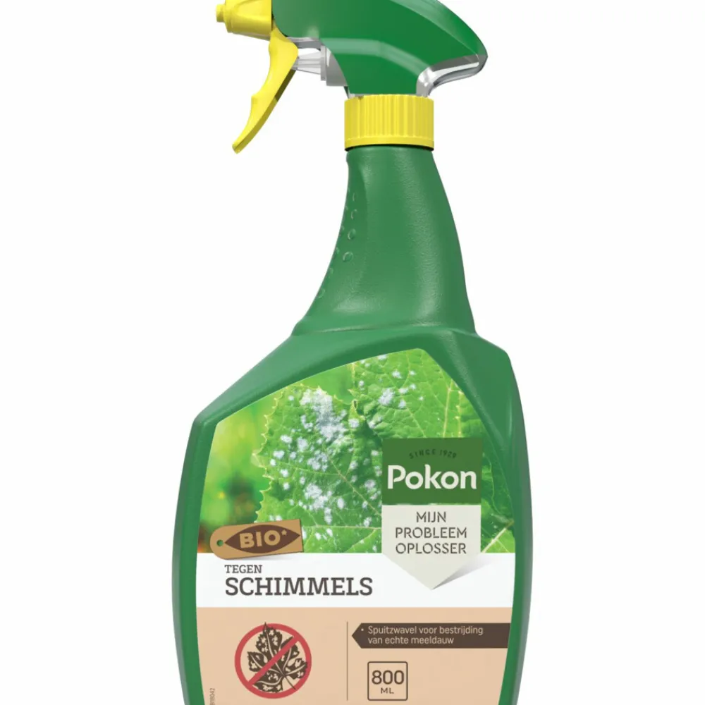 Best Bio tegen Schimmels Spray 800 ml Alles Voor Kamerplanten