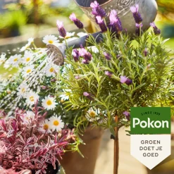 Sale Bio Terras & Balkon Planten Voeding 500 ml Grond En Bemesting