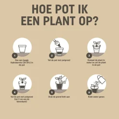 Bio Turfvrij Potgrond 10 liter^Pokon Sale