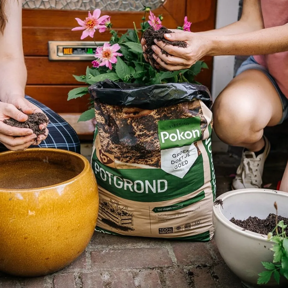 Bio Turfvrij Potgrond 10 liter^Pokon Sale