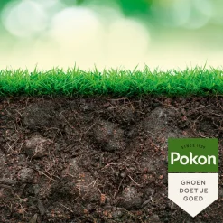 Grond En Bemesting|Alles Voor Kamerplanten<Pokon Biologische Kuur Voor een Weerbaar en Gezond Gazon Concentraat 500 ml