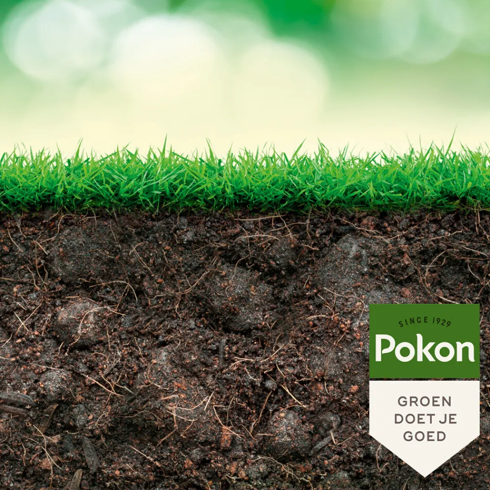 Grond En Bemesting|Alles Voor Kamerplanten<Pokon Biologische Kuur Voor een Weerbaar en Gezond Gazon Concentraat 500 ml