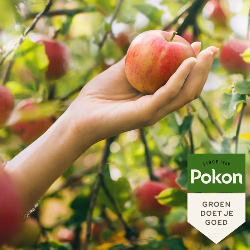Grond En Bemesting<Pokon Biologische Mest Fruitbomen 1 kg