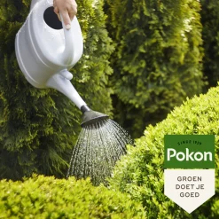 Bitterzout Groenmaker 500 gr^Pokon