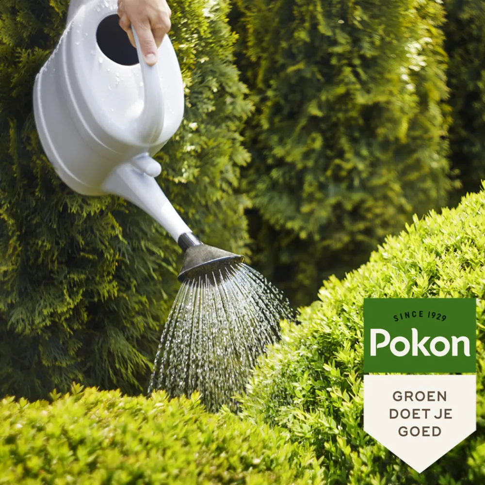 Bitterzout Groenmaker 500 gr^Pokon