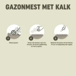 Grond En Bemesting<Pokon Gazonmest met Kalk voor 125 m² 8,4 kg