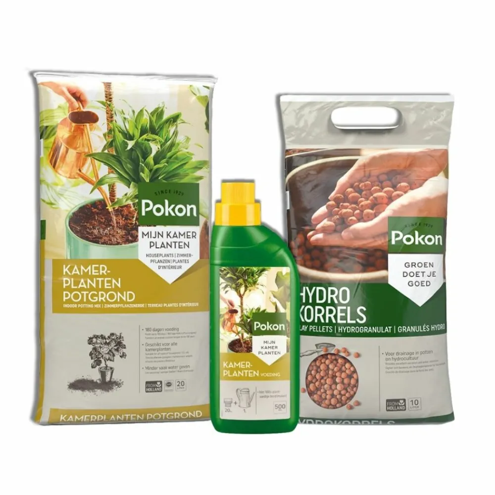 Kamerplanten Starters Pakket^Pokon Outlet