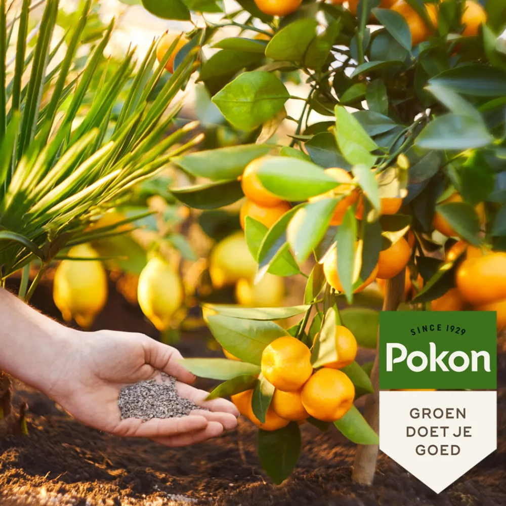 Mediterrane Planten Mest 1 kg^Pokon