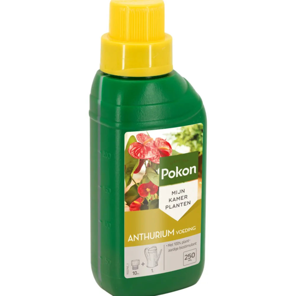 Planten Voeding Anthurium 500 ml^Pokon Clearance