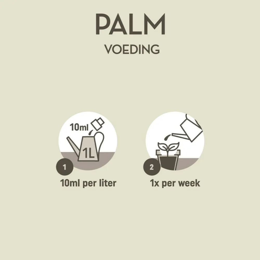 Outlet Planten Voeding Palmen 250 ml Grond En Bemesting|Alles Voor Kamerplanten