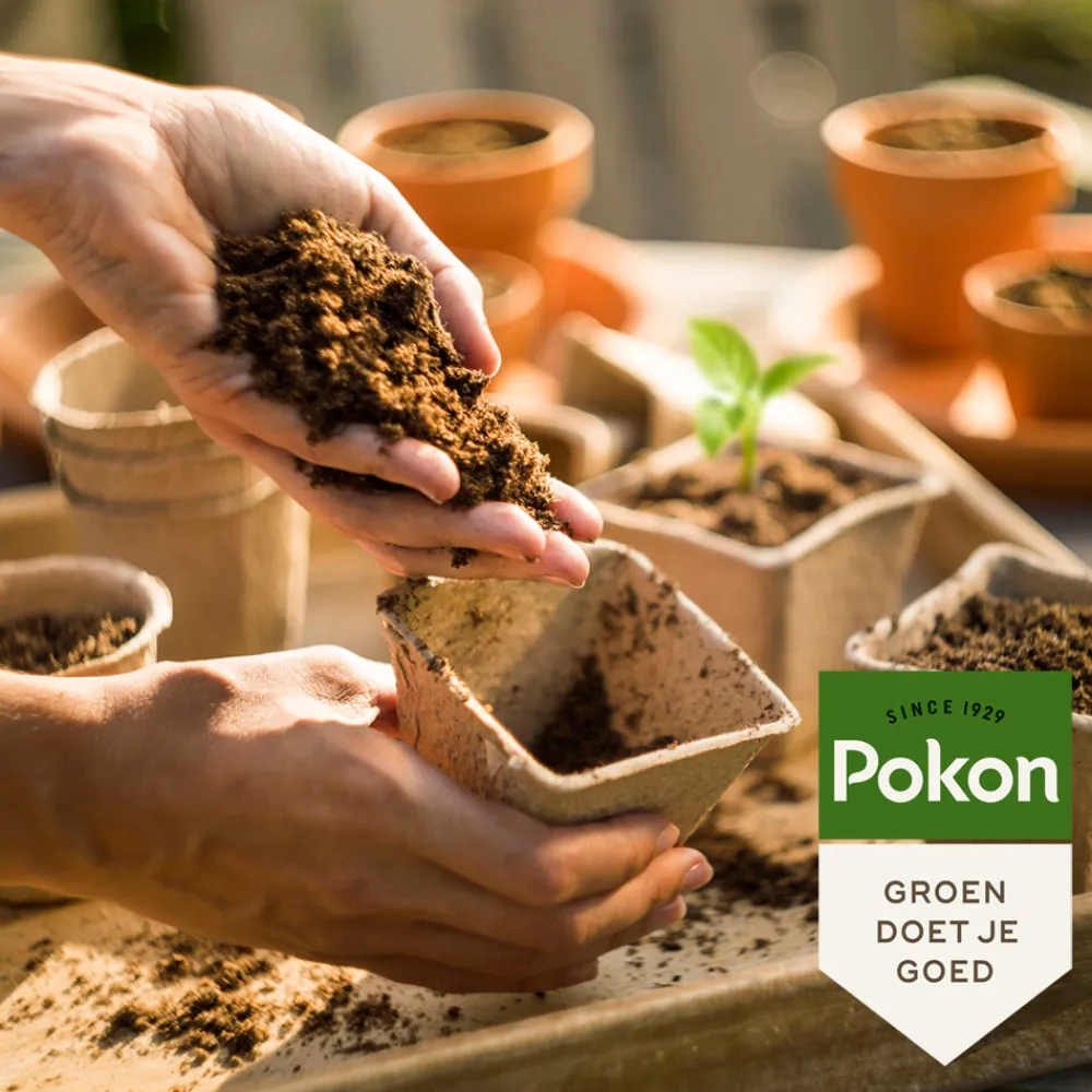 Stekpoeder 25 gr^Pokon