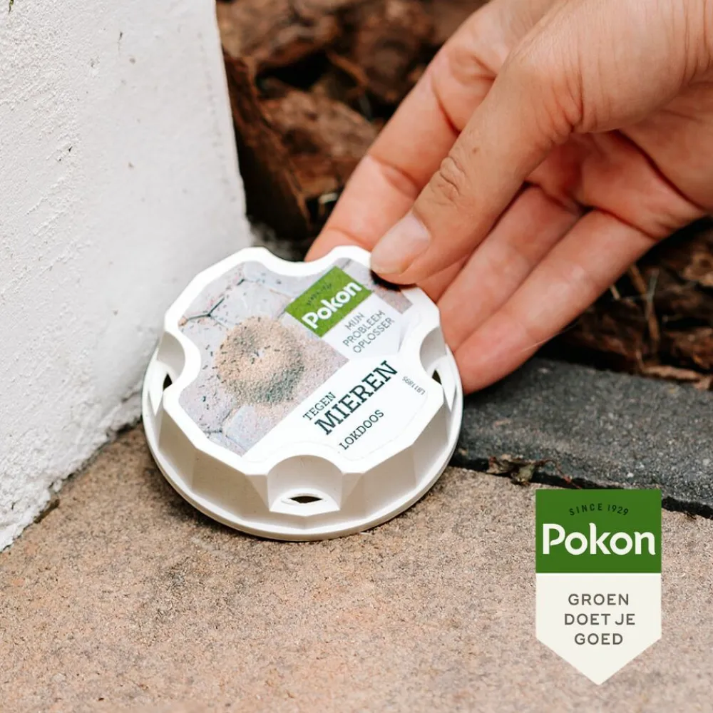 Clearance Tegen Mieren Lokdoos 2 stuks Ongediertebestrijding