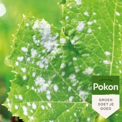Alles Voor Kamerplanten<Pokon Tegen Schimmels Concentraat 250 ml