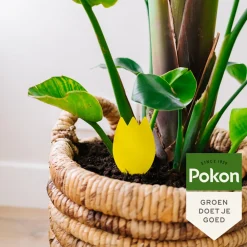 Discount Vangplaatjes tegen Potgrondvliegjes Biologisch 15 stuks Ongediertebestrijding|Alles Voor Kamerplanten