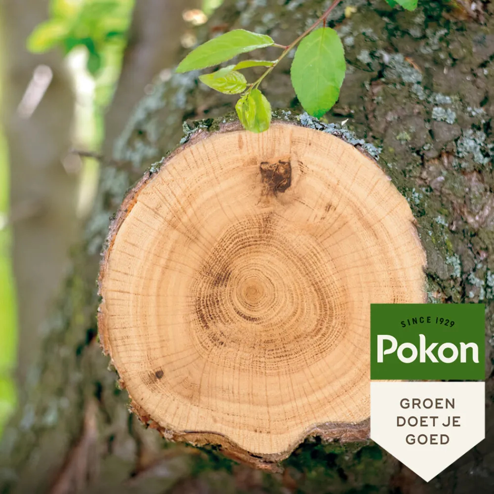 Outlet Wondafdekmiddel 300 gr Grond En Bemesting