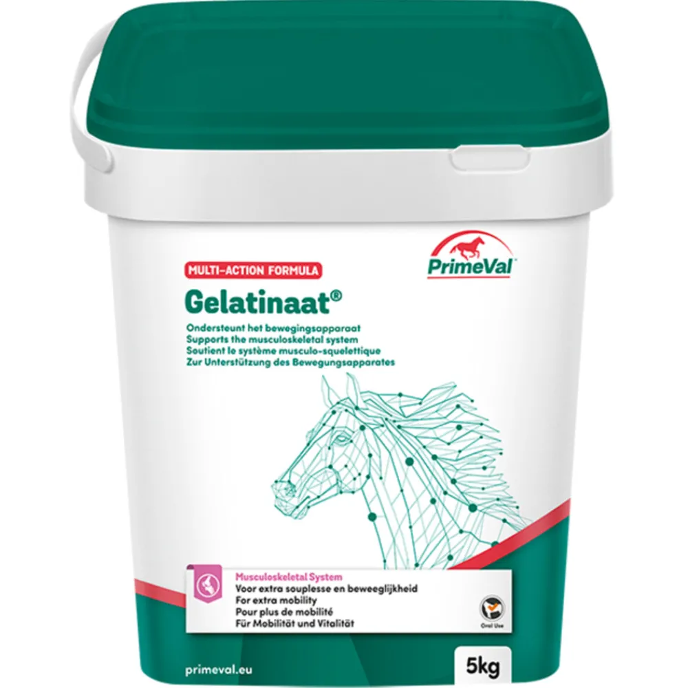 Gelatinaat Paard 5 kg^PrimeVal Hot