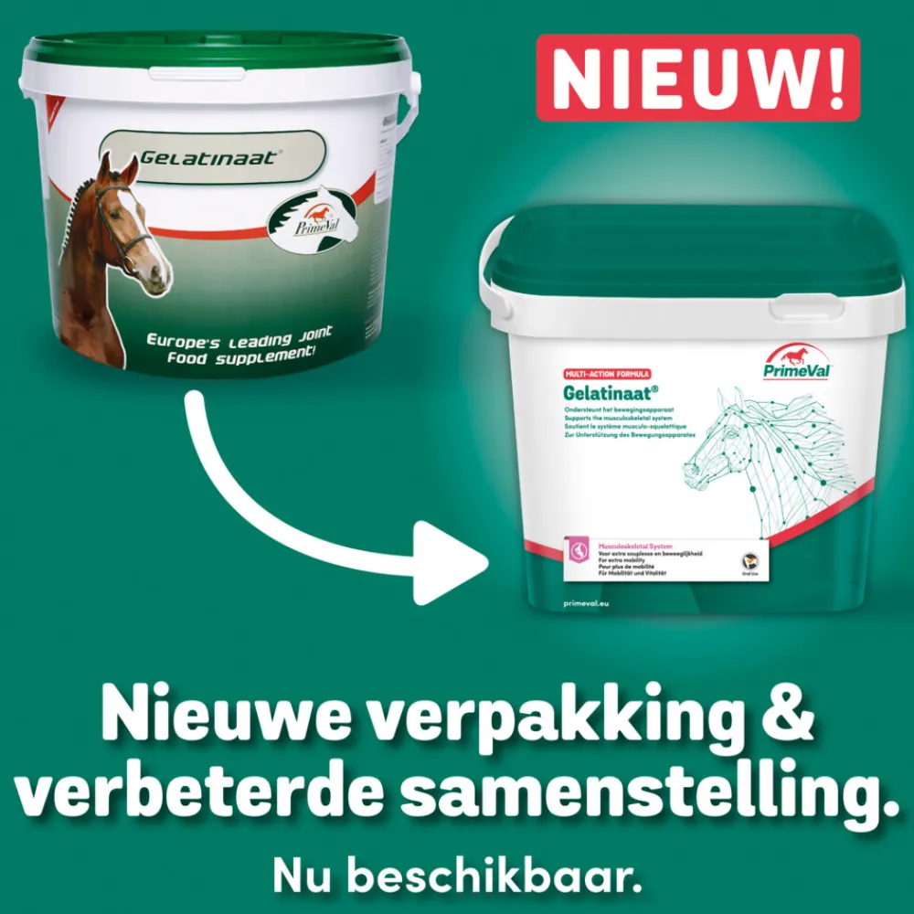 Gelatinaat Paard 5 kg^PrimeVal Hot