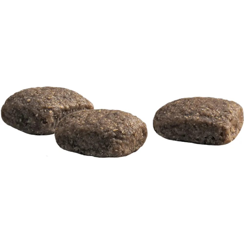 Hondenvoer<Prins Protection Croque Basic Excellent Hondenvoer 10 kg