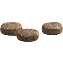 Clearance Protection Croque Junior Performance Hondenvoer 10 kg Hondenvoer