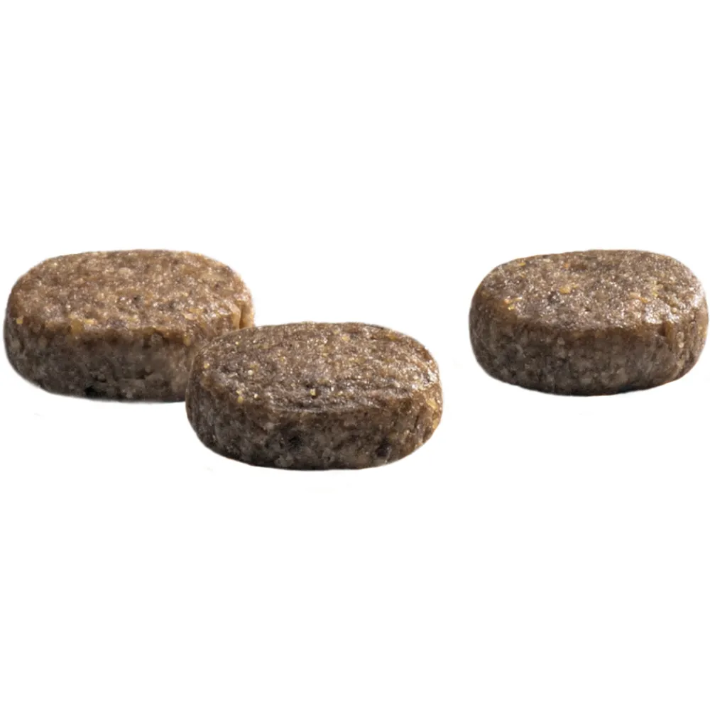 New Protection Croque Junior Performance Hondenvoer 2 kg Hondenvoer