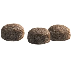 Protection Croque Mini Senior Fit Hondenvoer 10 kg^Prins Hot