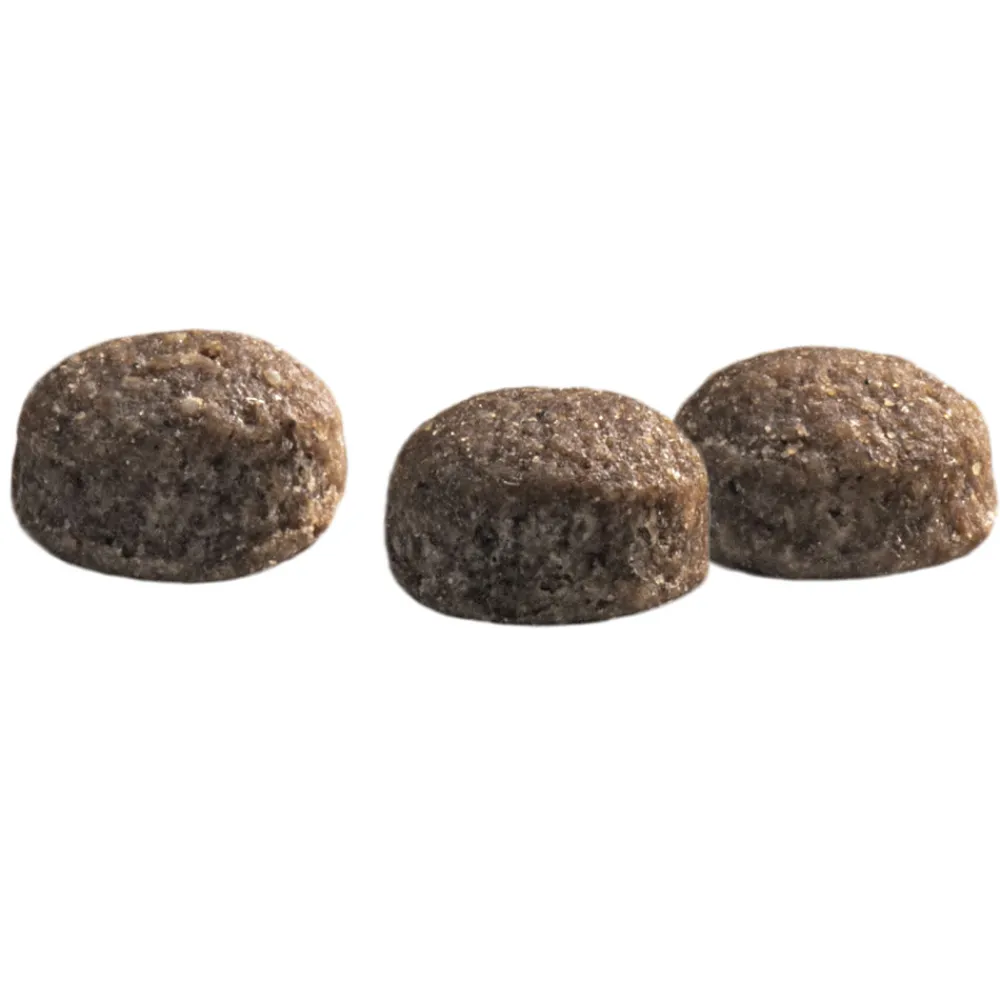 Protection Croque Mini Senior Fit Hondenvoer 10 kg^Prins Hot